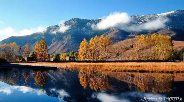 绝对纯干货｜高中生物重点知识记忆口诀大汇总