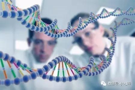 人造生命：去用生命再创生命