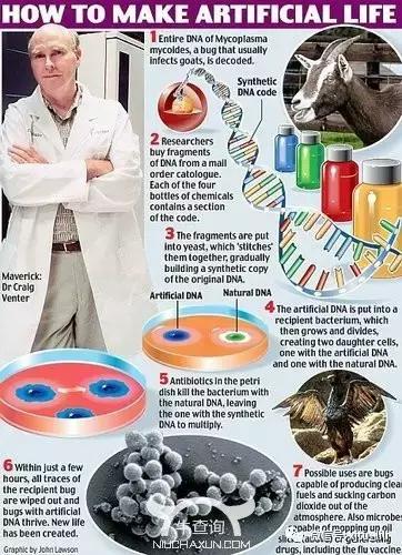 人造生命：去用生命再创生命