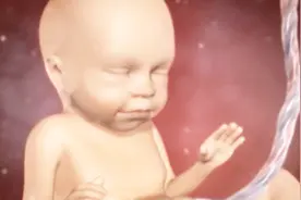 孕17周的时候 宝宝在肚子里是长什么样的呢视频封面