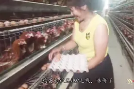 沙漠养殖到底有多赚钱，5000只母鸡一天利润上千元，鸡蛋5元一斤视频封面