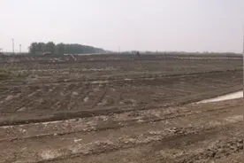 曾经的血吸虫病重灾区，如今成了稻虾养殖基地，贫困村大变样！视频封面