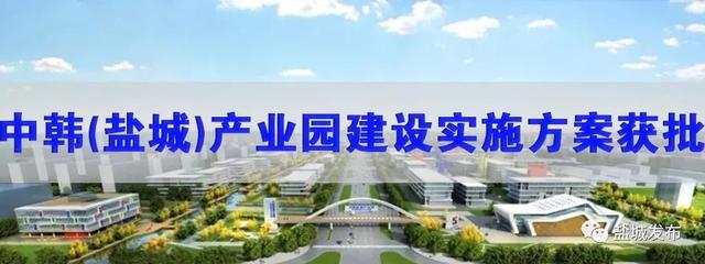 重磅！盐城交通违法有奖举报范围扩大，这些情形皆可举报！快看图例……