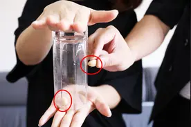 揭秘刘谦表演过开心果穿越杯子魔术，骗了不少美女，原来另有机关视频封面