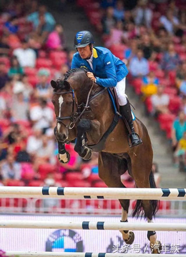 ��ʦ��������������Ȧ�����