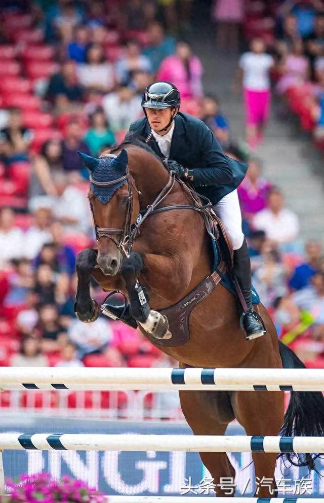 ��ʦ��������������Ȧ�����