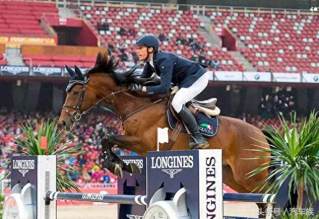 ��ʦ��������������Ȧ�����