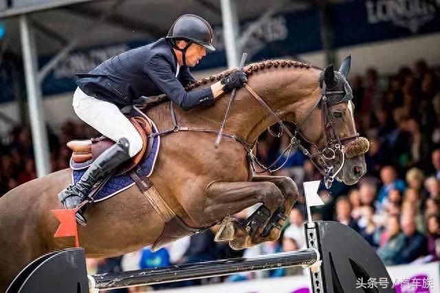 ��ʦ��������������Ȧ�����