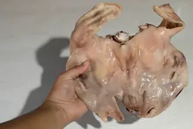 这才是羊头肉的最过瘾吃法，秘制一整块羊头肉，出锅看饿了视频封面
