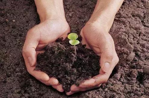 生物刺激剂越来越受到重视了，到底有什么作用，肥料湘军深度解析