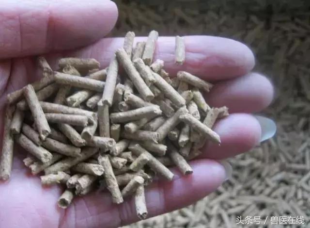 三分钟搞懂预混料、浓缩料、全价料的区别，总有一款适合你的猪场