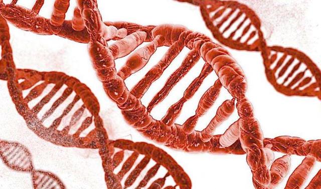 水也许并非宇宙生命的唯一液体要素，其他元素或许也能创造生命