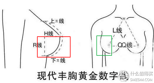小帅说健身：胸部训练de万字长文