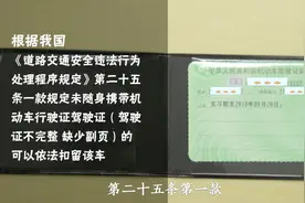 带着驾照出门，也可能被判为无证驾驶，别拿驾驶证副页不当回事儿