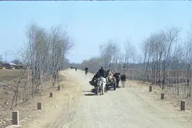 农村的人力架子车，现在已经换成了机动车拉干柴，美好了环境视频封面