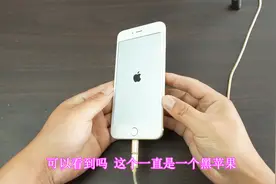 iPhone6plus开机一直是个黑色苹果，刷机后才知道翻车了，亏大啦