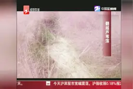 10月10日朋友圈热搜