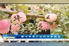 《改革开发四十年》静宁苹果产业的华丽蝶变视频封面