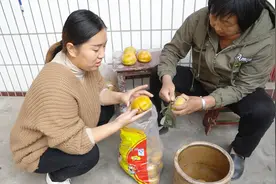 农村儿媳想吃脆柿子，婆婆腌制了一大缸，说温水泡三天甜滋滋