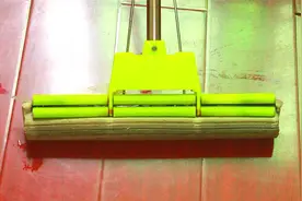 这种拖把变黑不好洗，教你这个小妙招，所有拖把都能洗白视频封面