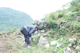 隐居深山，很多人不曾见过的山间野菜，却是贵州人恋恋不忘的美味视频封面