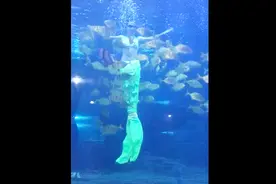 震撼；女子水中性感起舞，被一群鱼疯狂撕咬视频封面