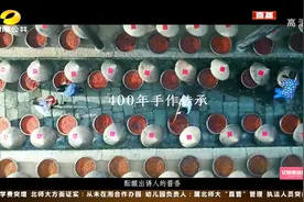 助力湖南脱贫攻坚 湖南电视台投入4.9亿元 创制9条精准扶贫广告视频封面
