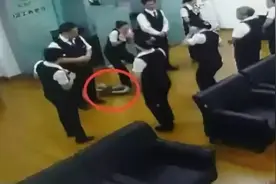 正开早会，一条蟒蛇从天而降！更巧的是……图片