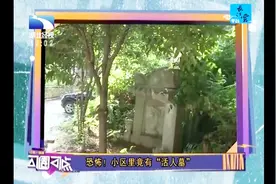 小区里竟有“活人墓” 小区住户很是无奈 相关部门介入调查视频封面