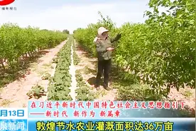 敦煌节水农业灌溉面积达36万亩视频封面