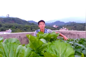 农村小伙在楼顶上种菜，原来用了这种方法，不伤楼顶不伤房