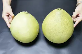 柚子怎么挑？只需学会这三点，挑到的柚子皮薄肉甜水分足