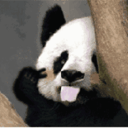 法国美卡身体乳