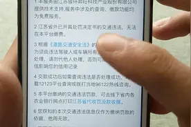 支付宝还能查违章，这么设置，生活缴费更便捷视频封面
