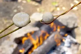 如何快速用小麦粉做面包？老外这一招学到了，味道如何就另说了