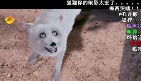 这些亚非拉3毛钱特效，也太渣渣渣渣渣渣渣渣了吧