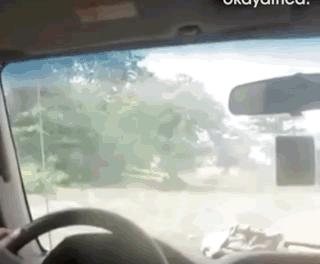 这些亚非拉3毛钱特效，也太渣渣渣渣渣渣渣渣了吧