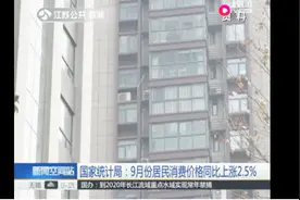 国家统计局公开九月CPI数据，居民消费价格同比上涨2.5%视频封面