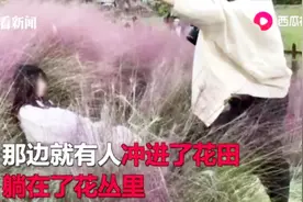 养育员哭了！杭州这片“网红花海” 游客走后竟成了这样视频封面