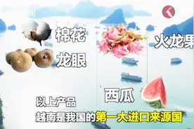 十大贸易伙伴之一！进口博览会主宾国：中国99%进口腰果来自此国视频封面