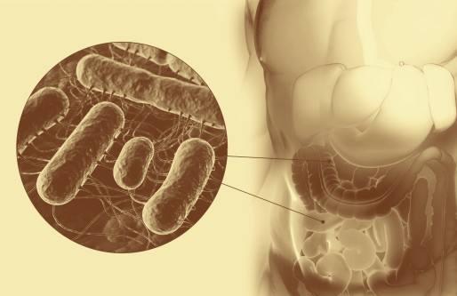 涓タ缁撳悎鏂规锛屽姪鎭㈠锛屼績鐢熼暱锛岃В鍐崇梾鐚鍚庣敓闀跨紦鎱㈤毦棰橈紒