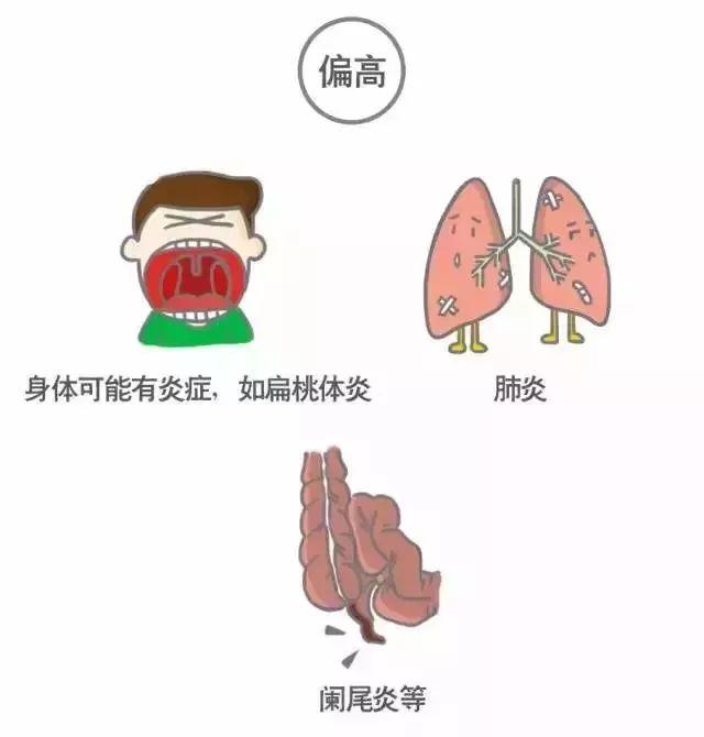 科普｜体检报告单那些名词儿看不懂？那就用这些漫画来搞明白它！