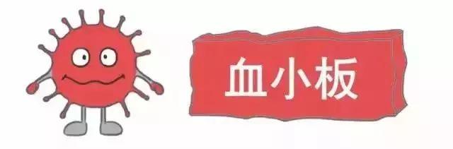 科普｜体检报告单那些名词儿看不懂？那就用这些漫画来搞明白它！