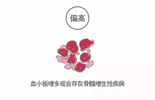 科普｜体检报告单那些名词儿看不懂？那就用这些漫画来搞明白它！