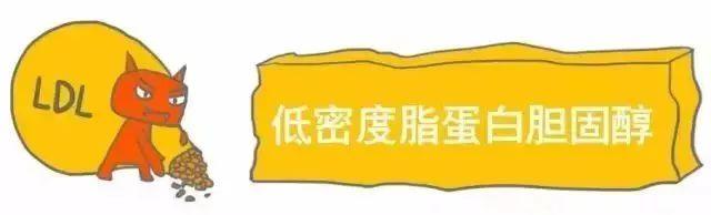 科普｜体检报告单那些名词儿看不懂？那就用这些漫画来搞明白它！