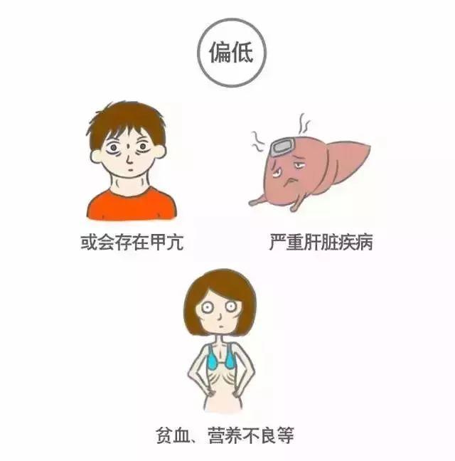 科普｜体检报告单那些名词儿看不懂？那就用这些漫画来搞明白它！