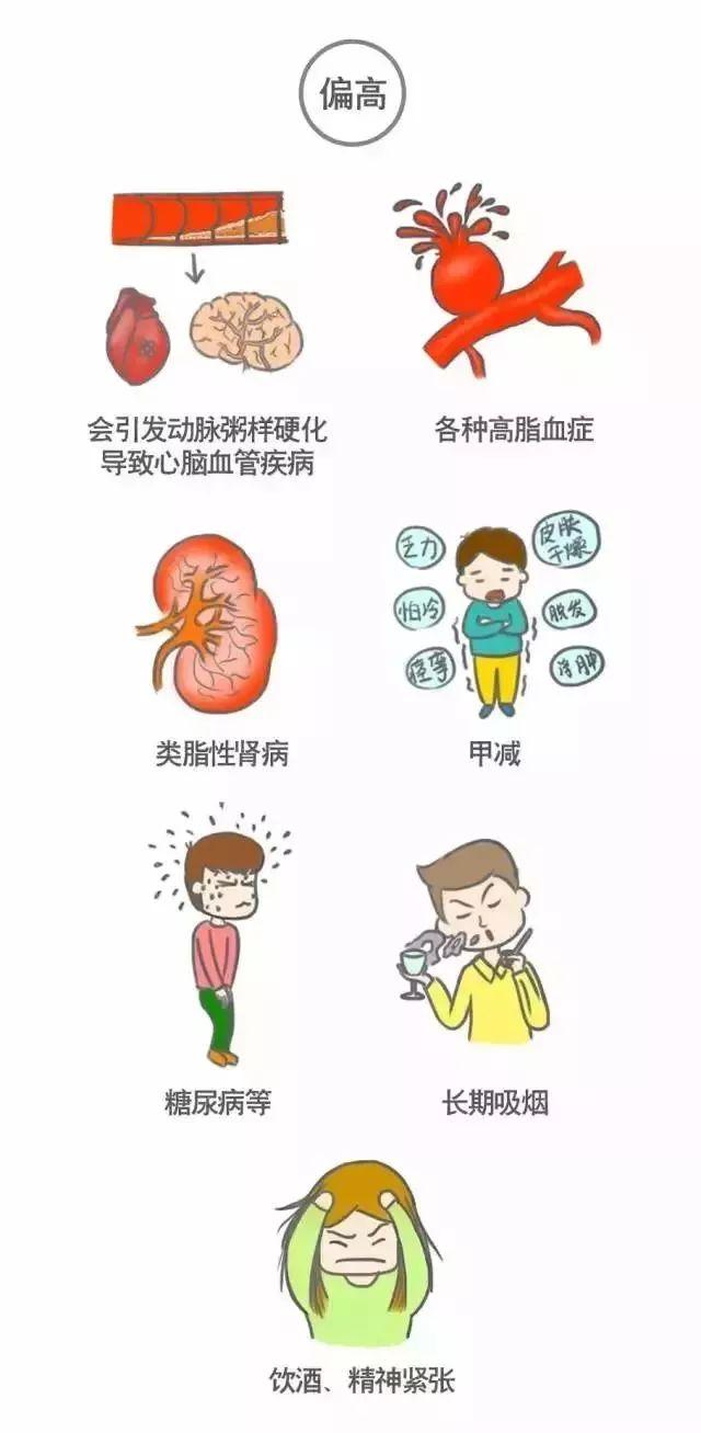 科普｜体检报告单那些名词儿看不懂？那就用这些漫画来搞明白它！