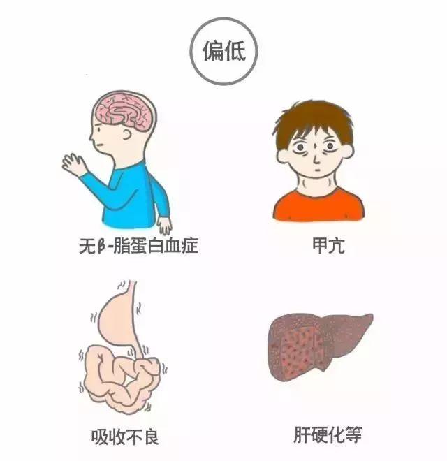 科普｜体检报告单那些名词儿看不懂？那就用这些漫画来搞明白它！