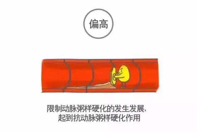 科普｜体检报告单那些名词儿看不懂？那就用这些漫画来搞明白它！