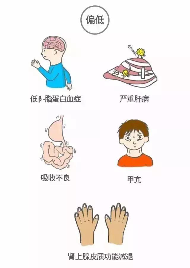 科普｜体检报告单那些名词儿看不懂？那就用这些漫画来搞明白它！